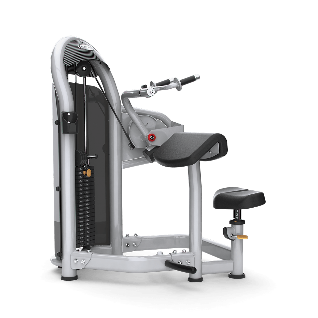 G3-S45 TRICEPS EXTENSIÓN