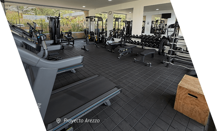 Proyecto de Gimnasio Arezzo